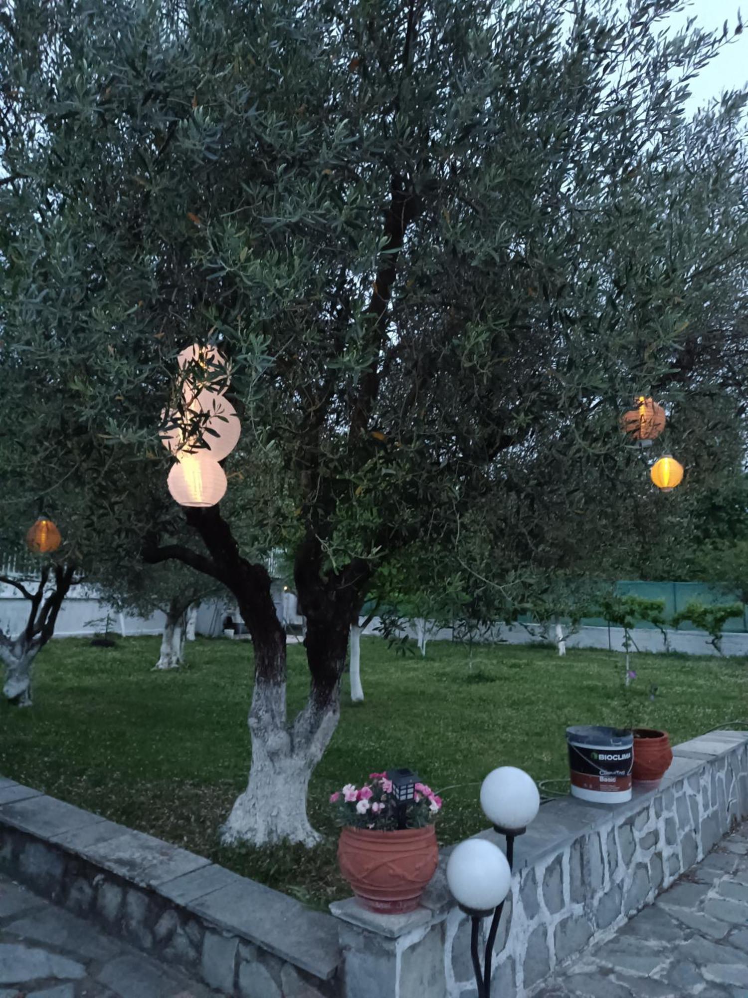 カランバカ Pomegranate Tree House - Meteoraゲストハウス エクステリア 写真