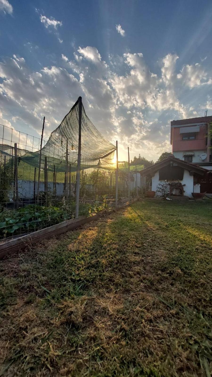 カランバカ Pomegranate Tree House - Meteoraゲストハウス エクステリア 写真